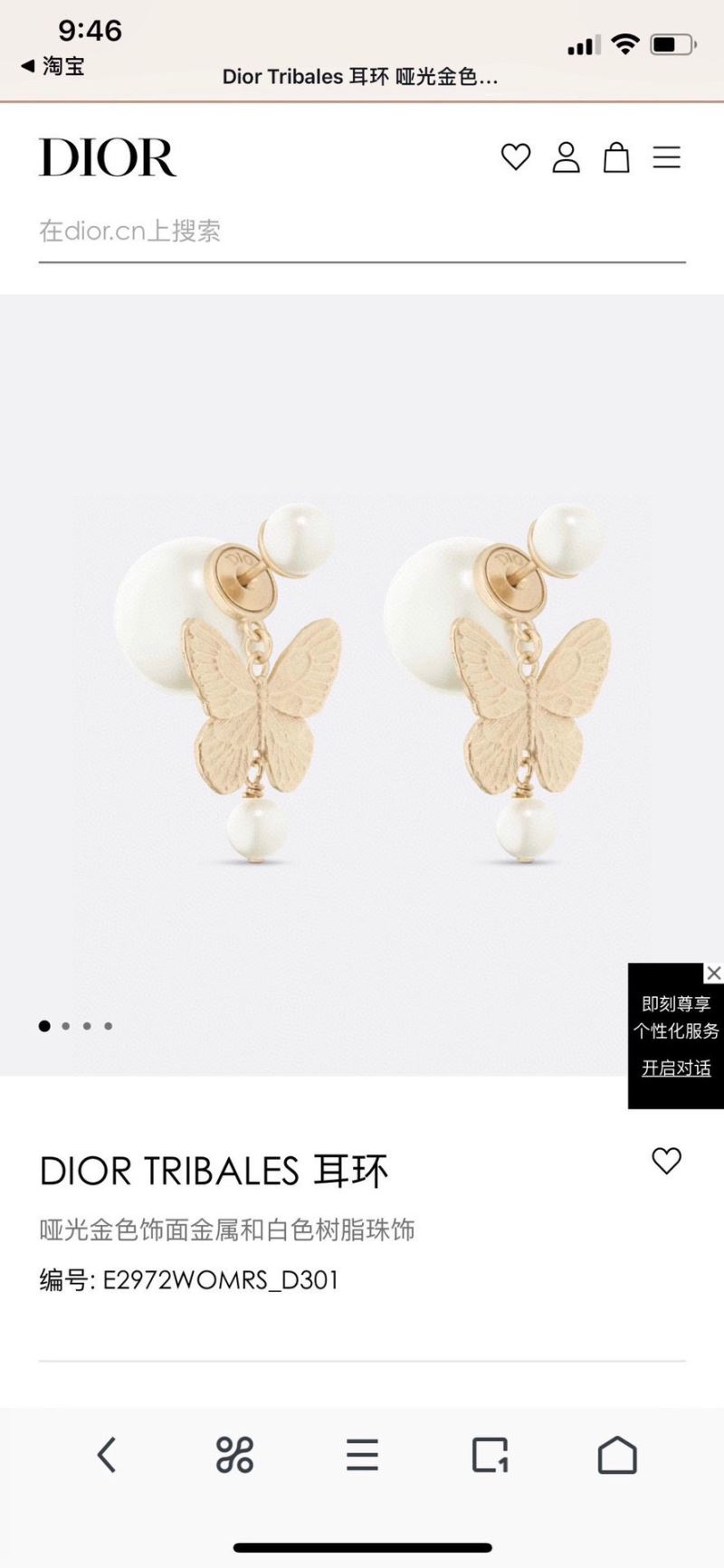 Christian Dior Earrings